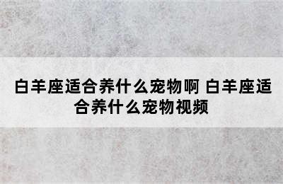 白羊座适合养什么宠物啊 白羊座适合养什么宠物视频